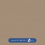 ral-rang-1019 | رال-1019
